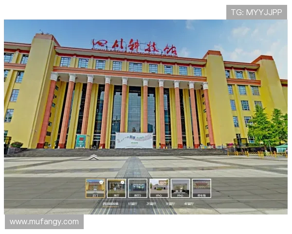 成都乒乓球队精英赛的辉煌之路与突破性成就全景回顾